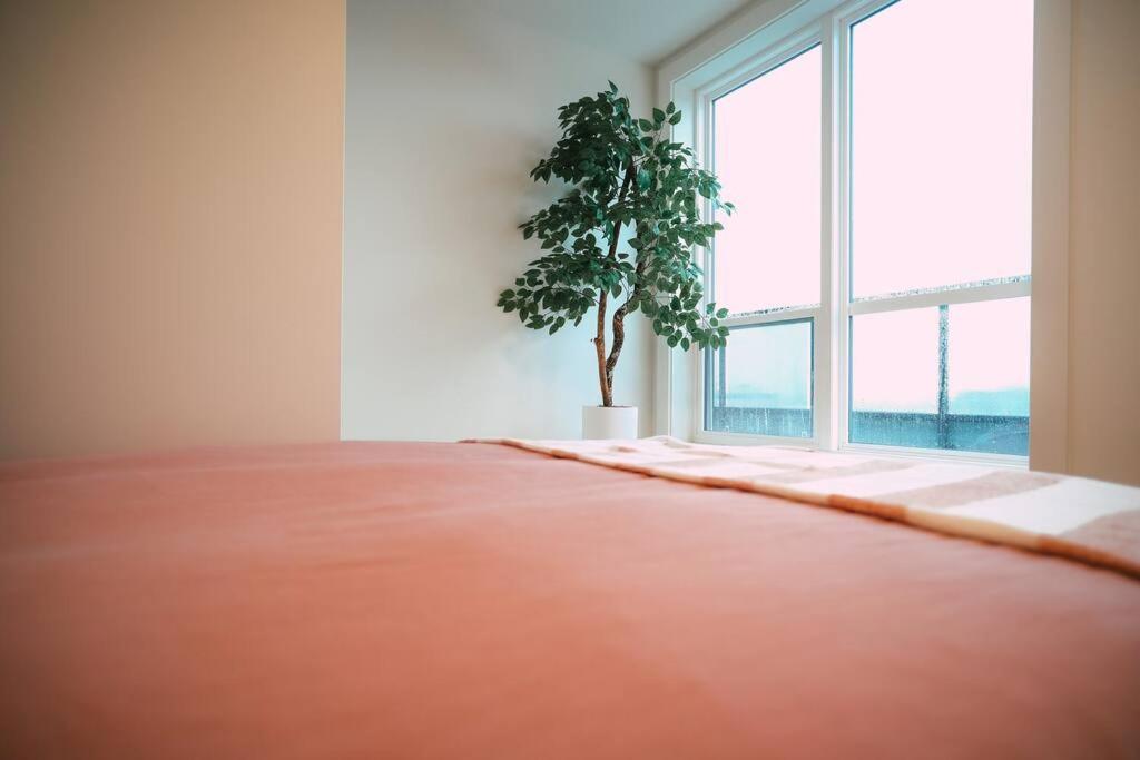 דירות הליפקס Chic Cozy Retreat - 2Br - Stunning North End Views מראה חיצוני תמונה