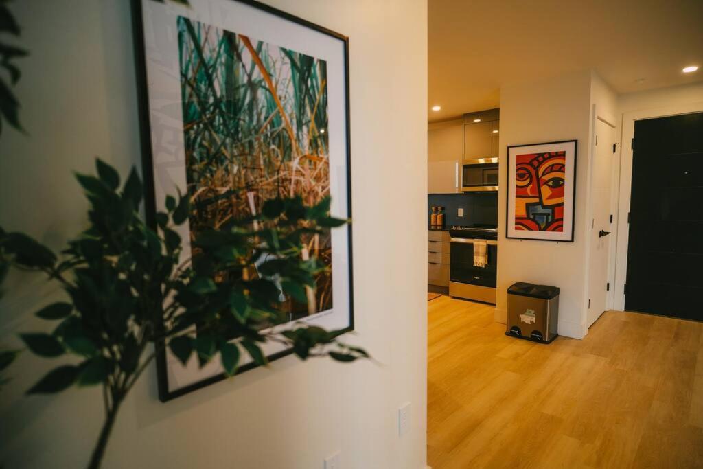 דירות הליפקס Chic Cozy Retreat - 2Br - Stunning North End Views מראה חיצוני תמונה